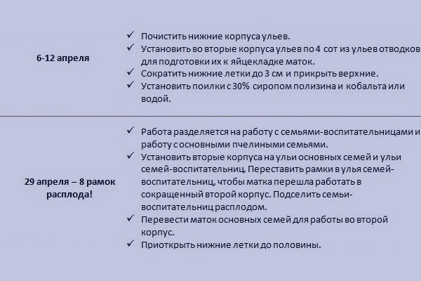 Метод Цебро у бджільництві: суть, вулик, виведення маток, зимівля, календар, поради