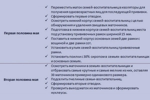 Метод Цебро у бджільництві: суть, вулик, виведення маток, зимівля, календар, поради