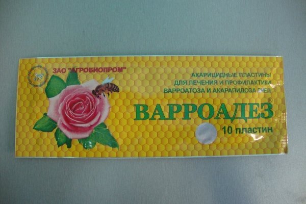Обробка бджіл від кліща: способи, засоби, строки і профілактика