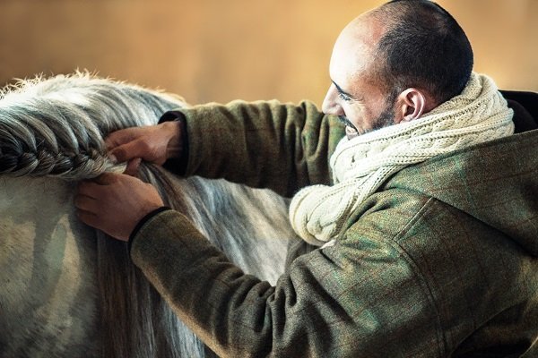 Утримання і догляд за кіньми в домашніх умовах: випас, годування, злучка, витрати Утримання і догляд за кіньми в домашніх умовах: випас, годування, злучка, витрати