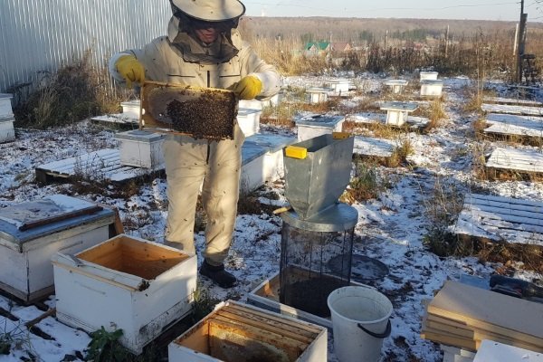Термокамера для обробки бджіл: види та як зробити своїми руками