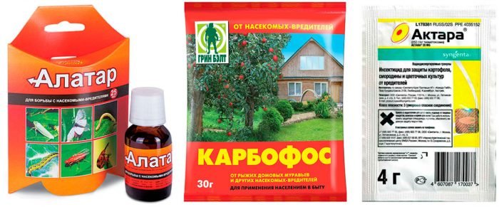 Листовійка: як боротися, препарати, народні засоби