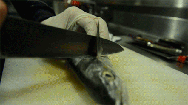 Що означає бачити тухлу рибу у сні — значення по сонникам 42