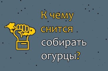 До чого сниться збір огірків з грядки — значення сну по соннику 41