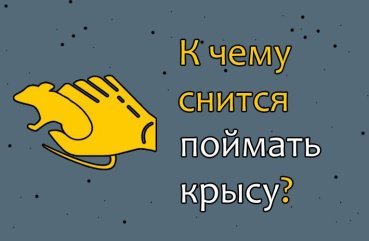До чого сниться зловити щура — 30 значень сну