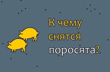Що означає сон про поросят — 33 тлумачення