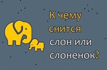 Що означає слон і слоненя уві сні — 40 значень