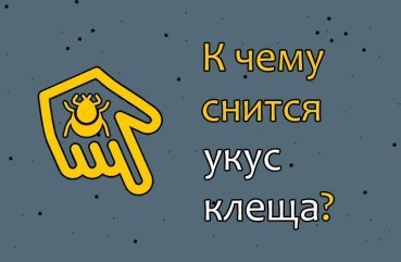 До чого сниться укус кліща — значення по соннику 41