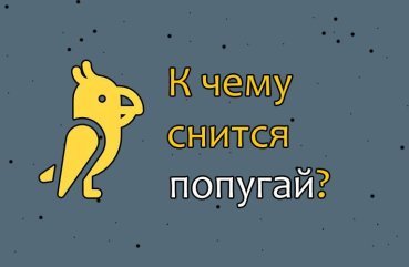 До чого сниться різнобарвний або однотонний папуга — тлумачення сну по сонникам 40