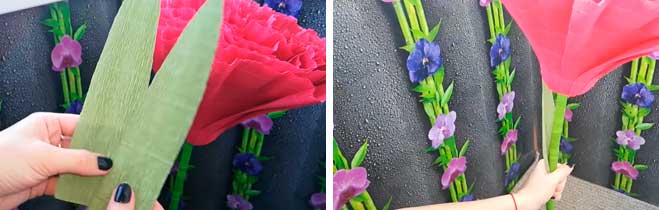 Гвоздика своїми руками з паперу для дітей на листівку. Як зробити гвоздику з гофрованого паперу Гвоздика своїми руками з паперу для дітей на листівку. Як зробити гвоздику з гофрованого паперу