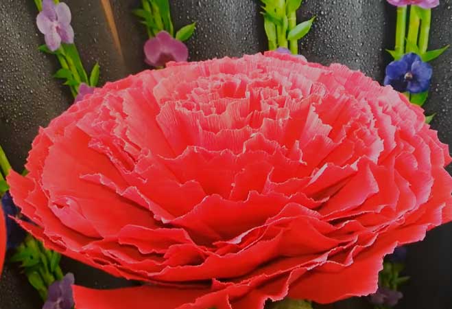 Гвоздика своїми руками з паперу для дітей на листівку. Як зробити гвоздику з гофрованого паперу