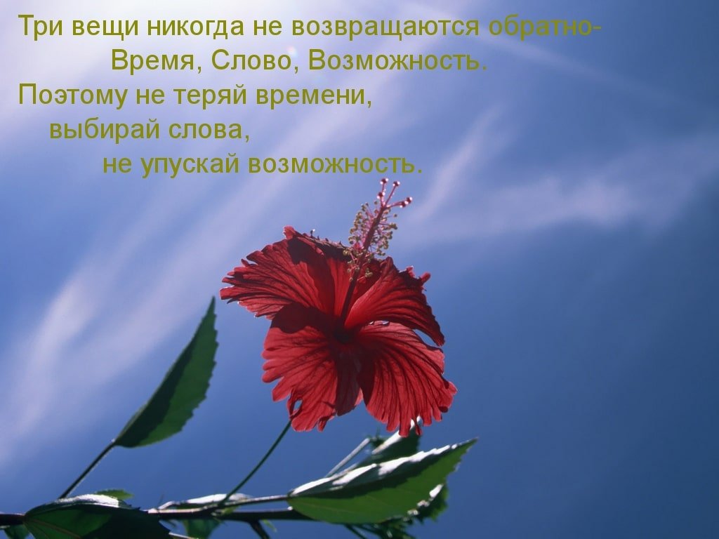 Життєві статуси зі змістом Життєві статуси зі змістом