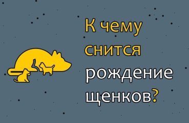 Що означає сон, в якому собака народила цуценят — 40 тлумачень