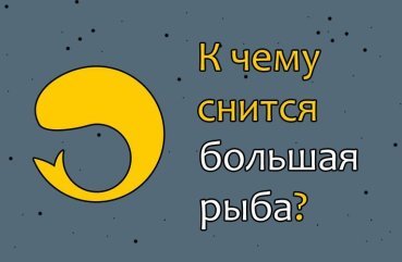 Як трактувати сон про велику рибу — 29 тлумачень