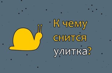 До чого сниться равлик — 40 значень сну