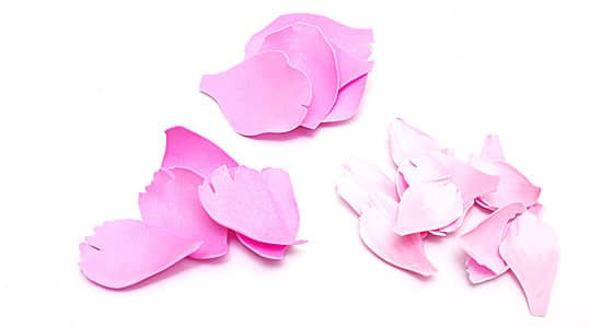 Квіти з фоамирана своїми руками: покрокова фото інструкція з описом Квіти з фоамирана своїми руками: покрокова фото інструкція з описом