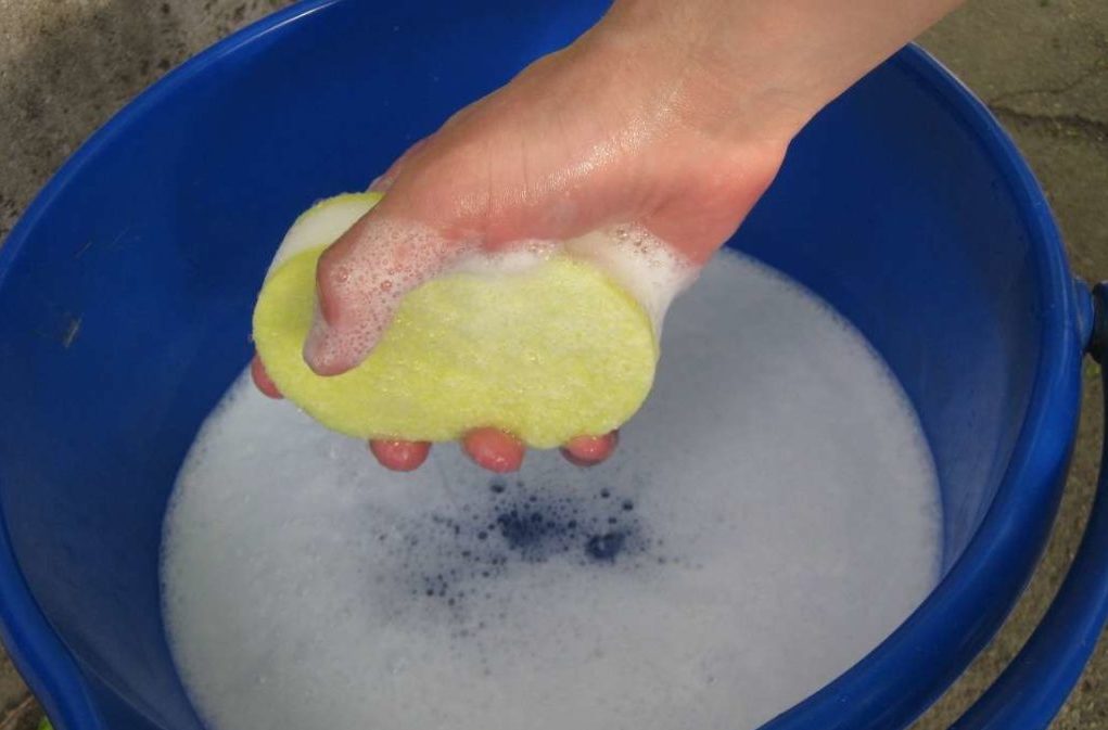 Як правильно мити вікна, щоб не залишати розводи? Як правильно мити вікна, щоб не залишати розводи?