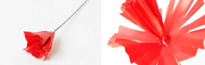 Гвоздика своїми руками з паперу для дітей на листівку. Як зробити гвоздику з гофрованого паперу Гвоздика своїми руками з паперу для дітей на листівку. Як зробити гвоздику з гофрованого паперу