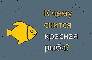 Що означає червона риба у сні — 40 тлумачень