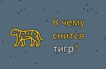 До чого сниться тигр — 35 значень сновидіння До чого сниться тигр — 35 значень сновидіння