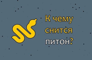 Що означає бачити уві сні пітона або удава — ТОП 35 значень