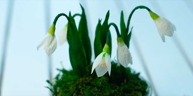 Проліски з гофрованого паперу своїми руками: 4 кращих МК Проліски з гофрованого паперу своїми руками: 4 кращих МК