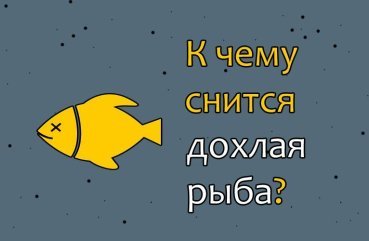 40 значень сну про дохлу рибу 40 значень сну про дохлу рибу