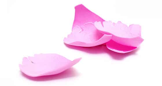 Квіти з фоамирана своїми руками: покрокова фото інструкція з описом Квіти з фоамирана своїми руками: покрокова фото інструкція з описом