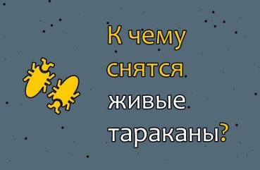 Що означає сон, в якому бачиш живих тарганів — розшифровка сну по соннику 41