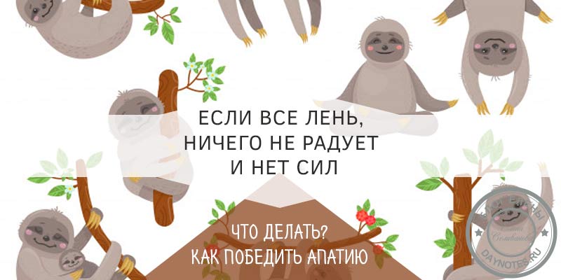 Що робити якщо нічого не хочеться і нічого не радує і немає сил Що робити якщо нічого не хочеться і нічого не радує і немає сил