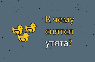 Чому наснилися маленькі жовті каченята — значення по соннику 41