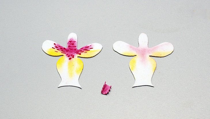 Квіти з фоамирана своїми руками: покрокова фото інструкція з описом Квіти з фоамирана своїми руками: покрокова фото інструкція з описом