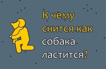 Як правильно трактувати сон про собаку, яка лащиться — 40 тлумачень