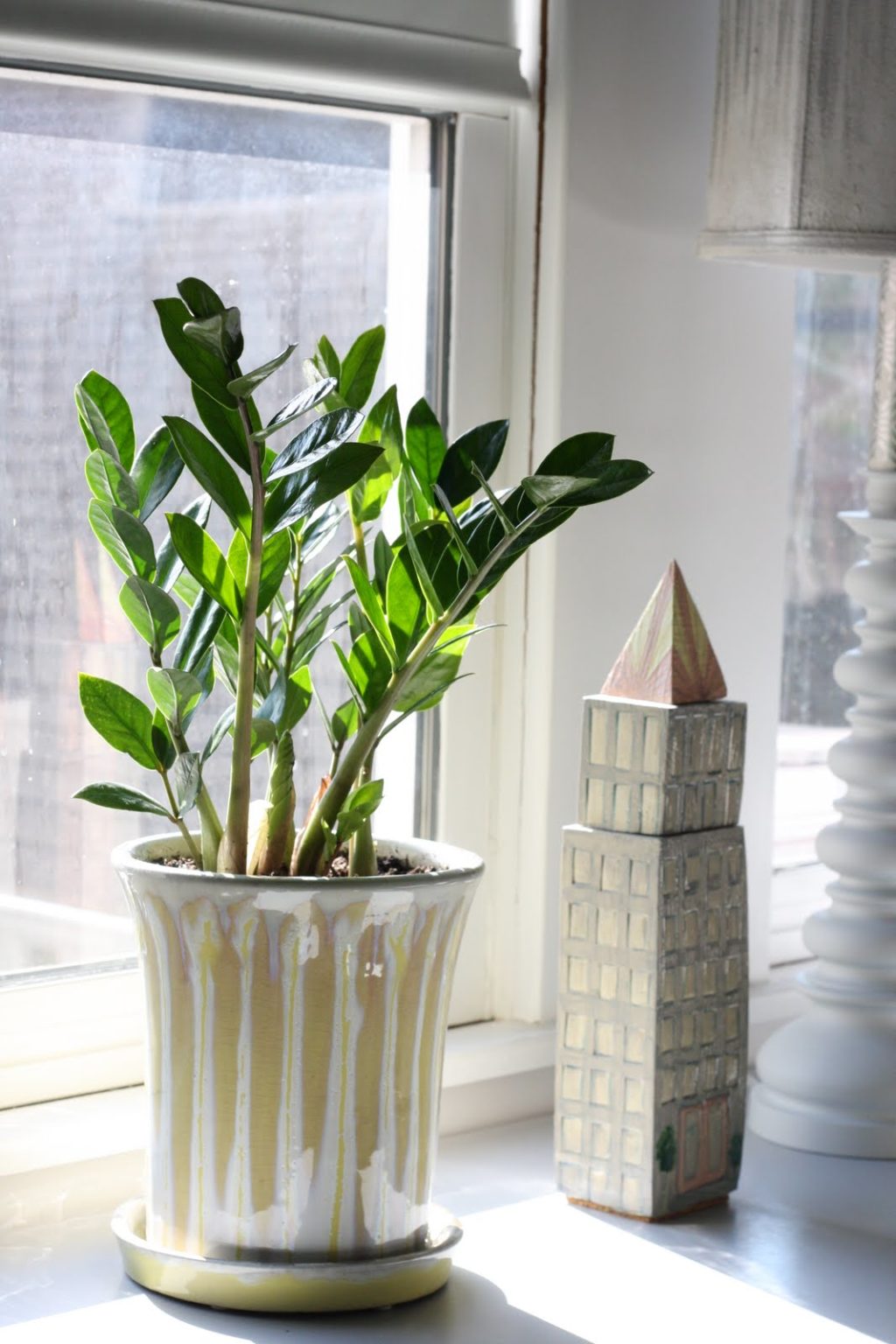 11 кімнатних рослин за якими найпростіше доглядати 11 кімнатних рослин за якими найпростіше доглядати