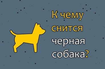 Що означає сон про чорну собаку — значення по сонникам 38