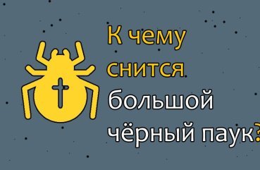 До чого сниться чорний павук великих розмірів — розшифровка сновидіння по соннику 41