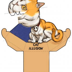 Ілюзія стежить дракон з паперу: Покрокова інструкція складання оптичної ілюзії дракона Ілюзія стежить дракон з паперу: Покрокова інструкція складання оптичної ілюзії дракона