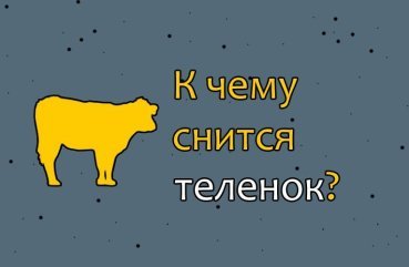 Що означає сон про теляти — 40 значень