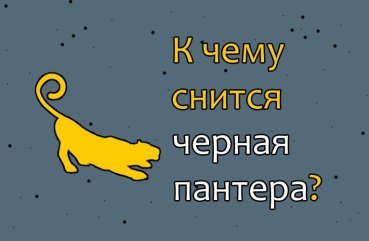 Що означає побачити чорну пантеру у сні — трактування по сонникам 32