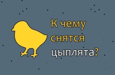 Як трактувати сон про курчат — 30 докладних значень