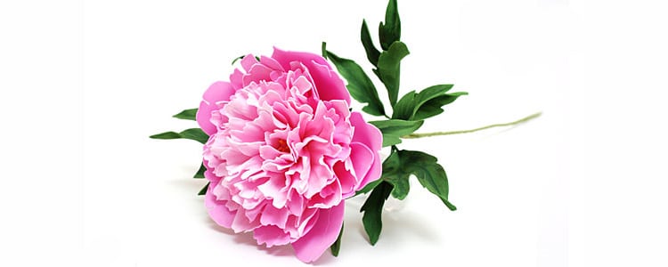 Квіти з фоамирана своїми руками: покрокова фото інструкція з описом Квіти з фоамирана своїми руками: покрокова фото інструкція з описом