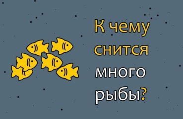 Що значить бачити багато риби у сні — 40 тлумачень