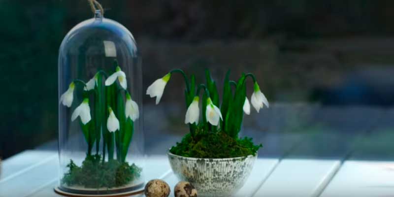 Проліски з гофрованого паперу своїми руками: 4 кращих МК Проліски з гофрованого паперу своїми руками: 4 кращих МК