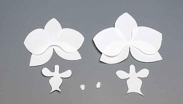 Квіти з фоамирана своїми руками: покрокова фото інструкція з описом Квіти з фоамирана своїми руками: покрокова фото інструкція з описом