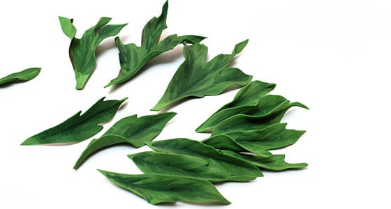 Квіти з фоамирана своїми руками: покрокова фото інструкція з описом Квіти з фоамирана своїми руками: покрокова фото інструкція з описом