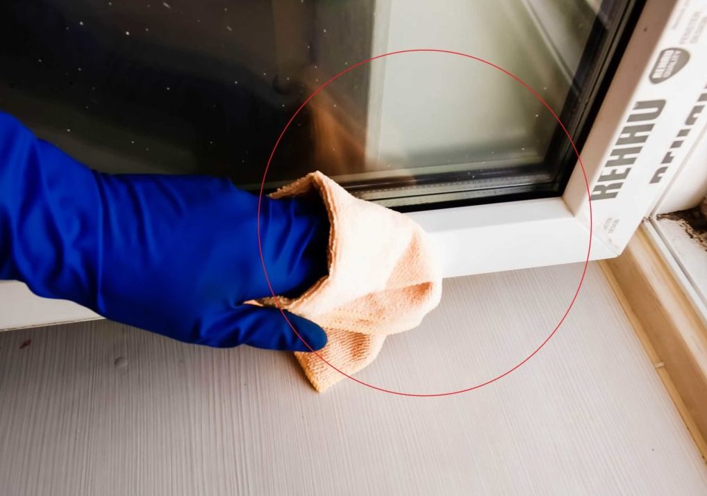 Як правильно мити вікна, щоб не залишати розводи? Як правильно мити вікна, щоб не залишати розводи?