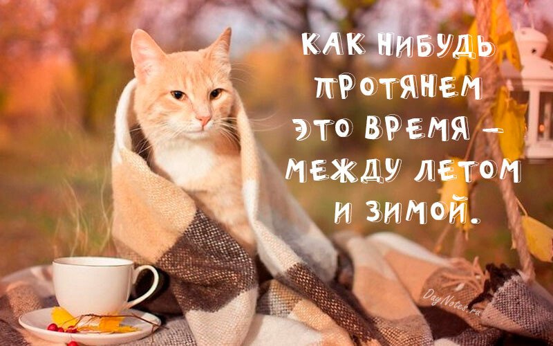 Листівки з добрим осіннім ранком і гарним настроєм (нові та гарні)