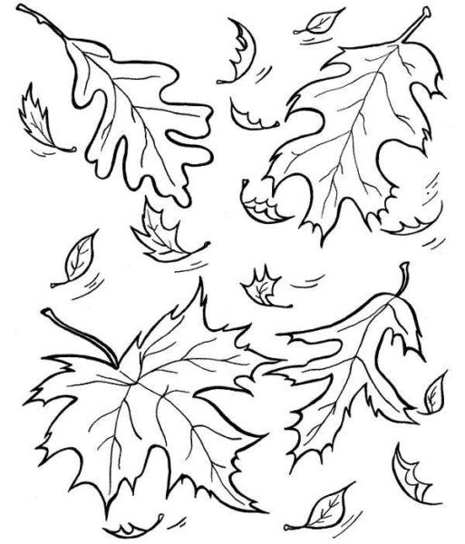 Осіннє листя з паперу: шаблони та трафарети для вирізання Осіннє листя з паперу: шаблони та трафарети для вирізання