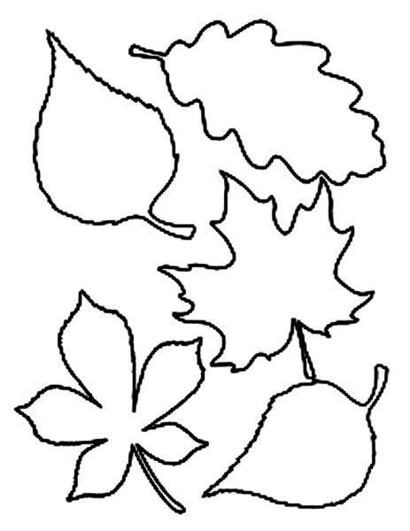 Осіннє листя з паперу: шаблони та трафарети для вирізання