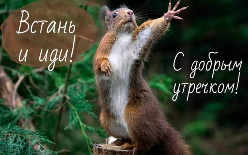 Листівки з добрим осіннім ранком і гарним настроєм (нові та гарні)